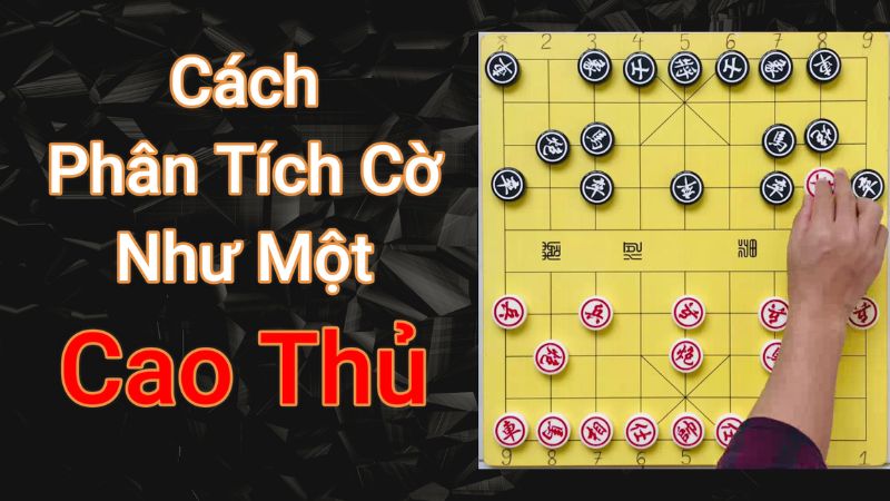 Bố cục bàn cơ tướng cơ bản khi chơi